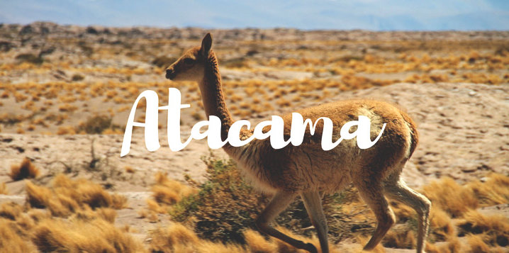 que-faire-atacama
