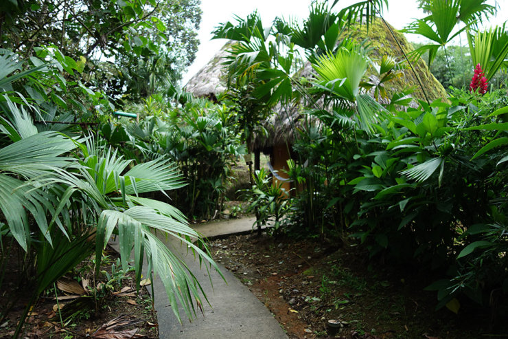 ecolodge amazonie equateur