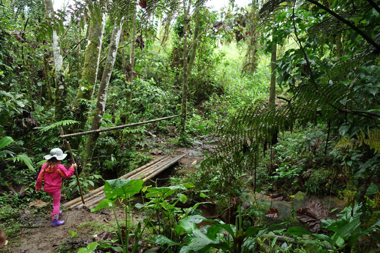 equateur-amazonie-avec-enfants