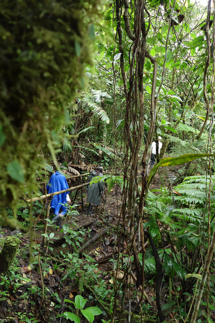 equateur-trek-en-amazonie