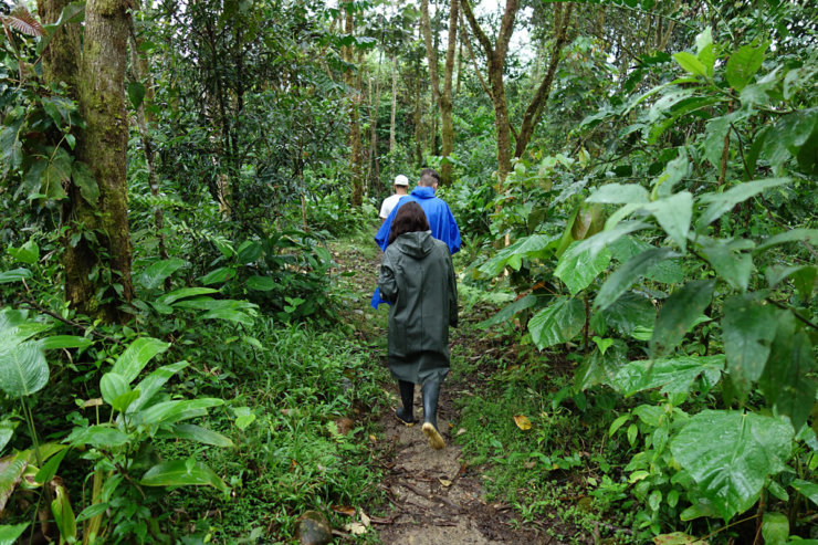 excursion-en-amazonie-equateur