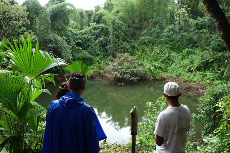 lac-des-caimans