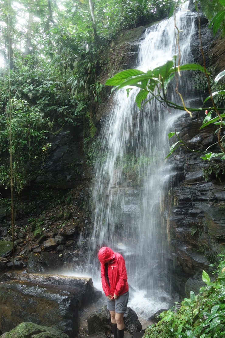 que-faire-en-amazonie-equateur