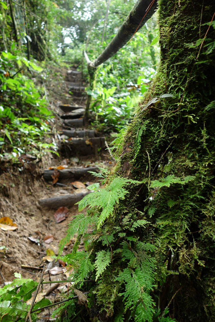 que-voir-en-amazonie-equateur