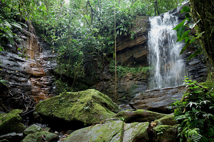 se-baigner-dans-la-jungle-equateur