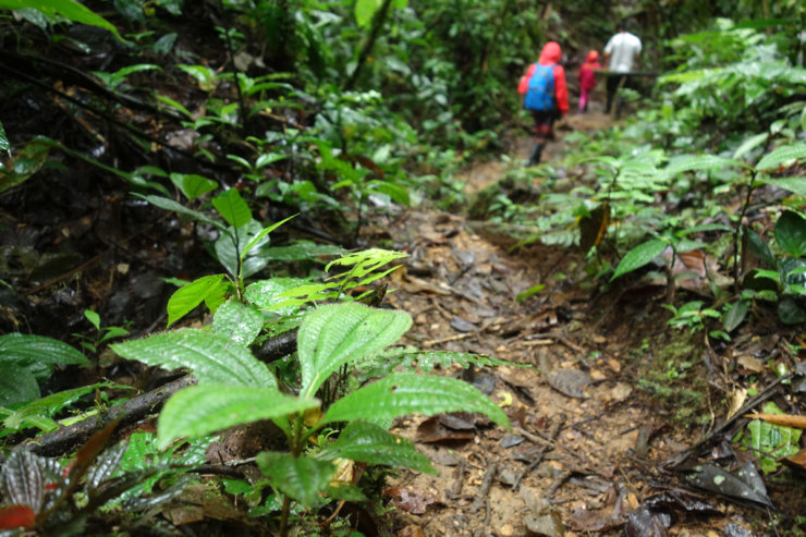 voyage-equateur-en-famille