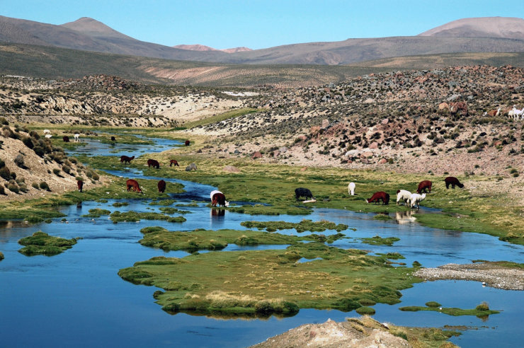 parc national lauca