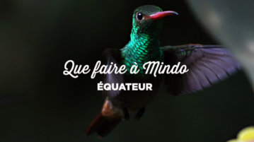 que-faire-a-mindo