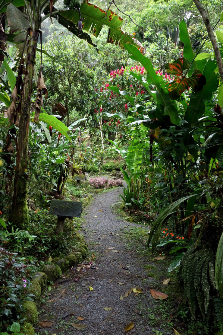 sentier mindo equateur