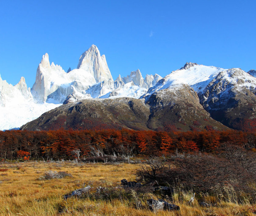 fitz roy