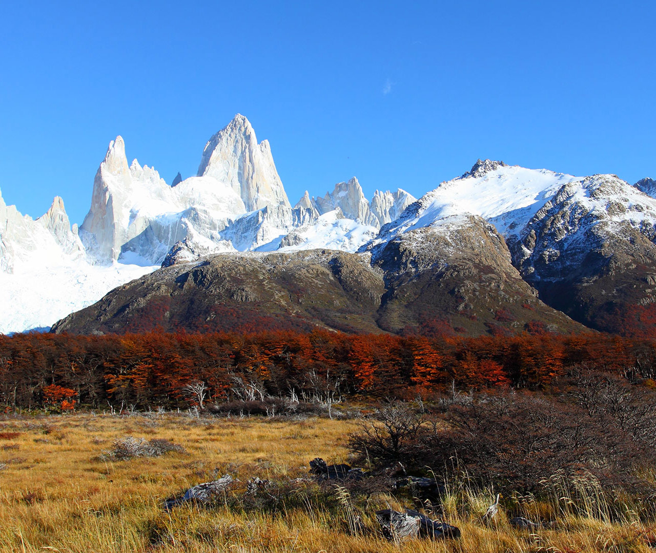 voyage patagonie que faire