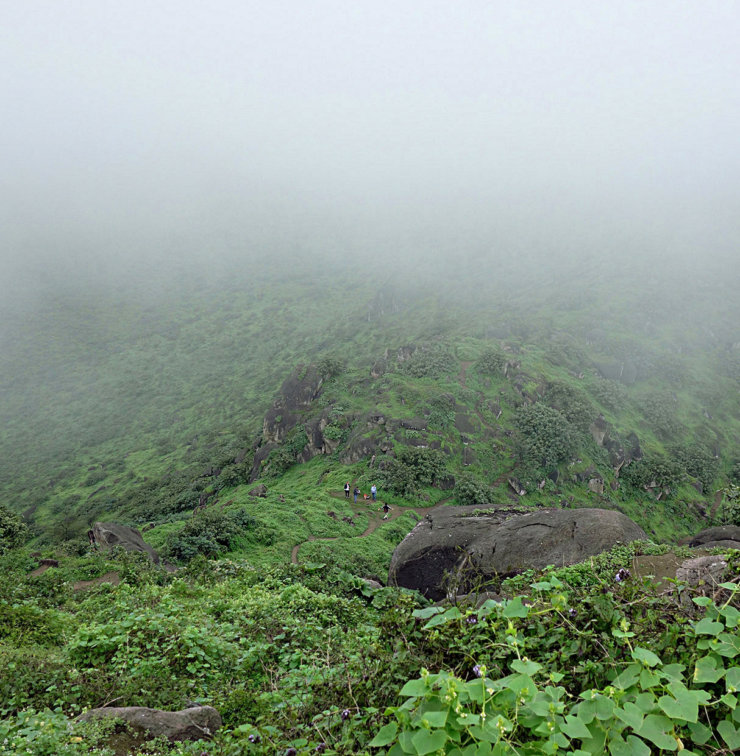 parc lomas de lucumo lima perou