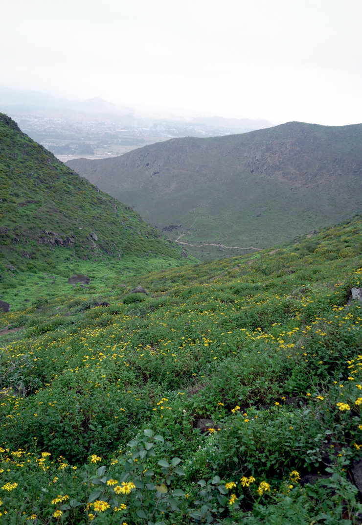 paysage lomas de lucumo