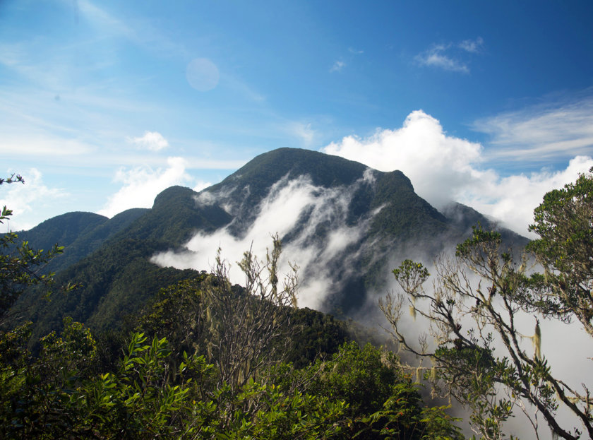 pico-turquino