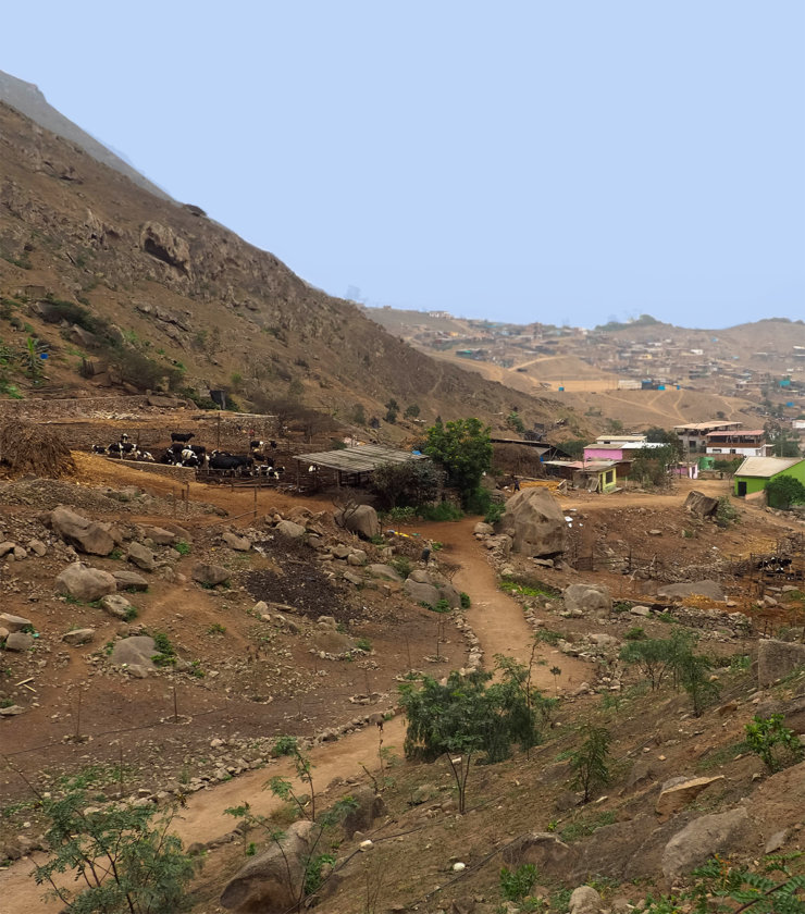 quebrada-verde-lima