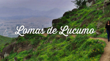 visiter lomas de lucumo perou