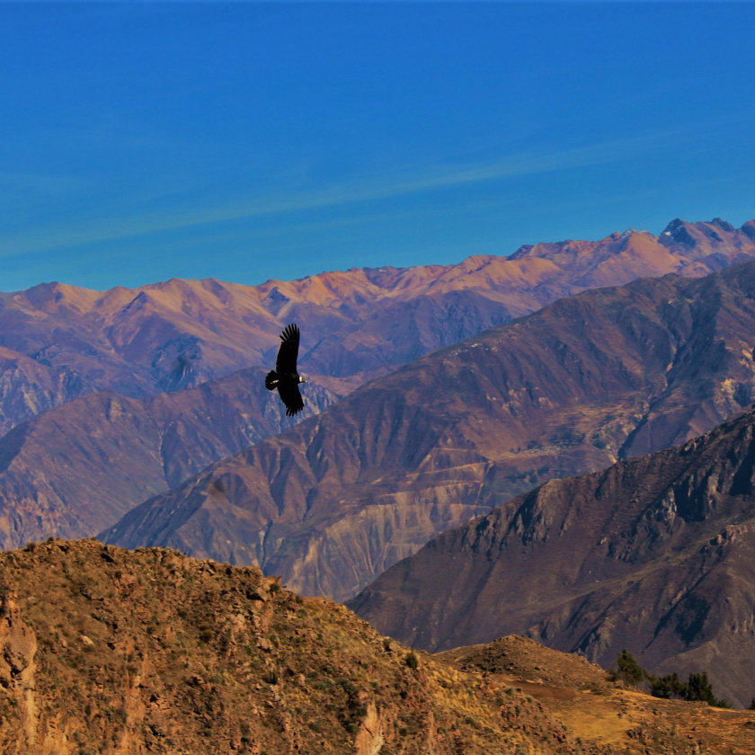 canyon-de-colca