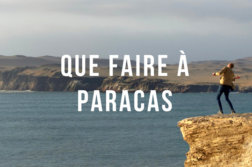 que-faire-a-paracas