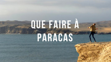 que-faire-a-paracas