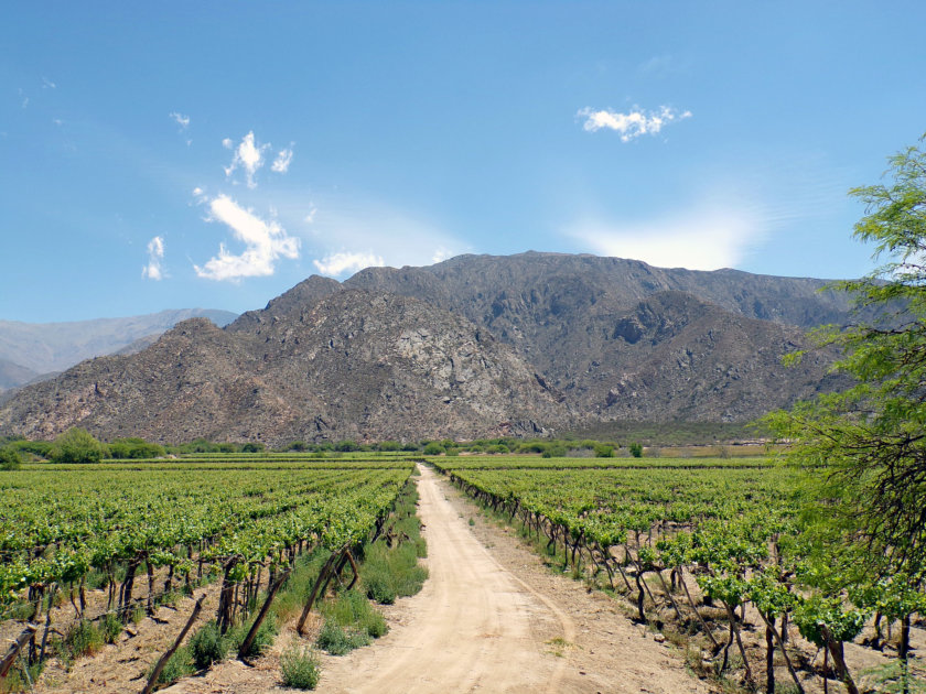 cafayate-argentine