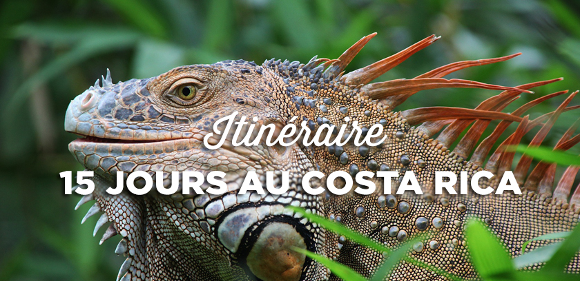14-15-16 jours au Costa Rica | Itinéraire + Conseils | Voyage Costa Rica