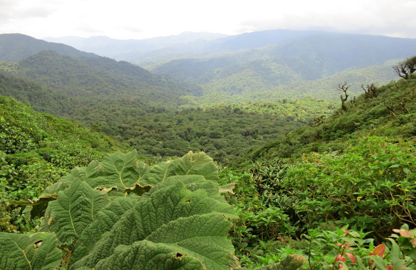 monteverde-costa-rica