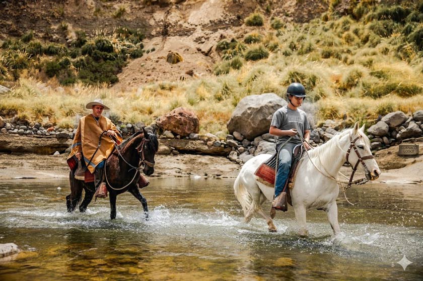 balade cheval canyon de colca