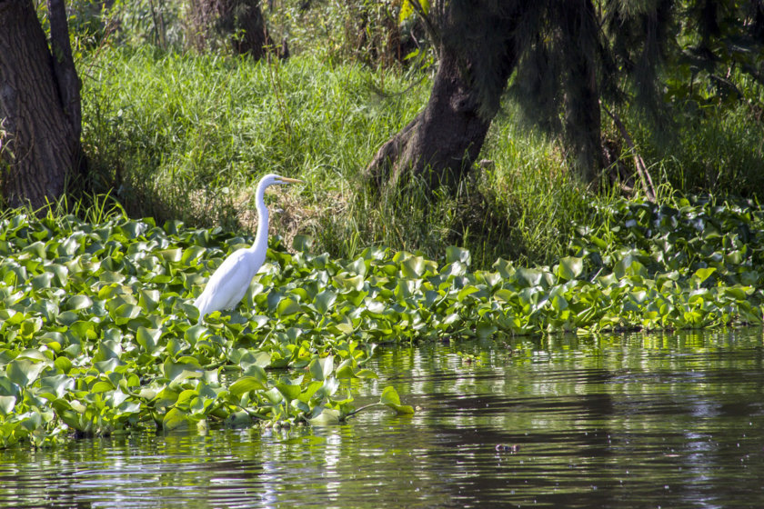 ecotourisme xochimilco