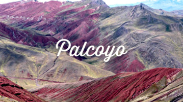 palcoyo