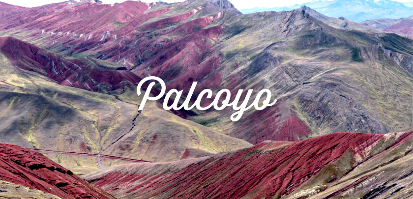 palcoyo