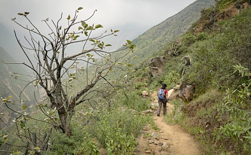 trek-marcahuasi