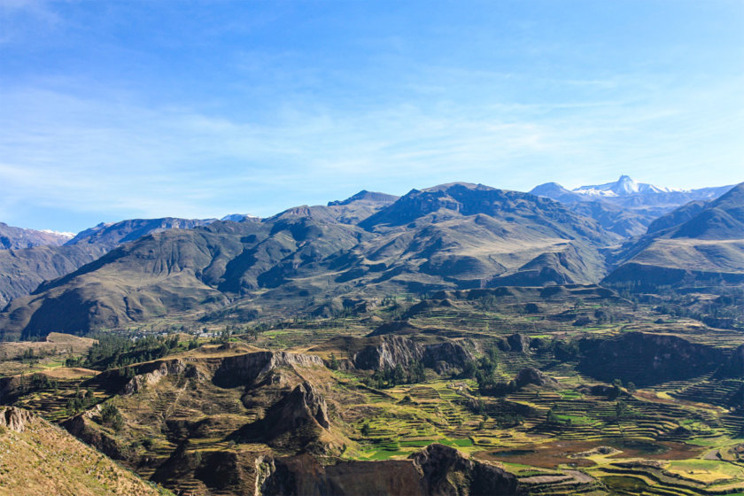 terrazas canyon del colca