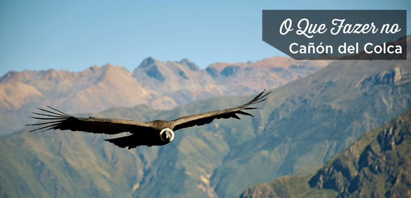 O-que-fazer-no-Cañón-del-Colca