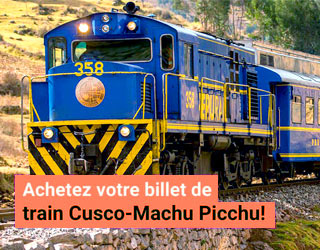 Train Machu Picchu side