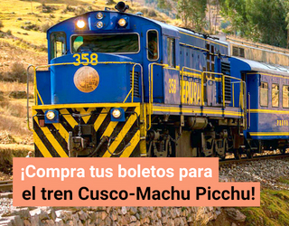 Train Machu Picchu side