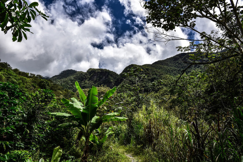 paysage-vert-quillabamba