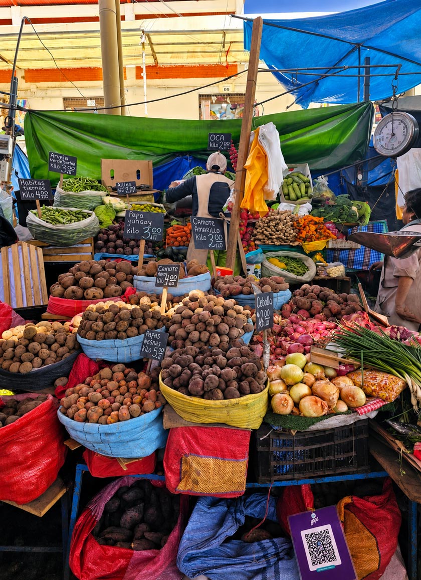 san camilo arequipa perou