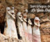 Sarcófagos de Karajía Peru