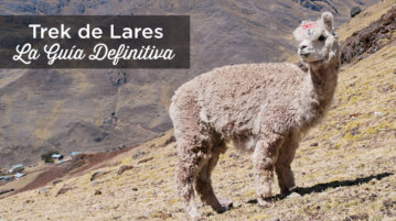 trek lares peru