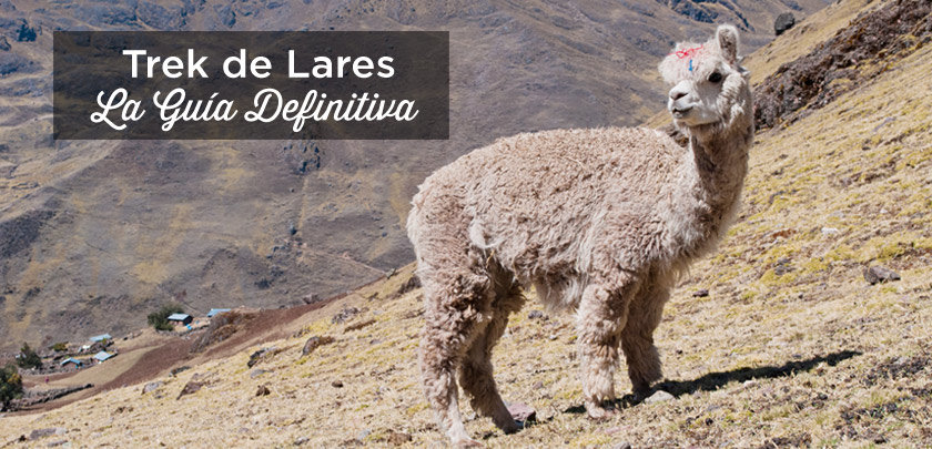 trek lares peru