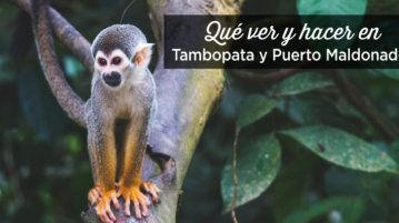 visitar tambopata