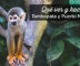 visitar tambopata