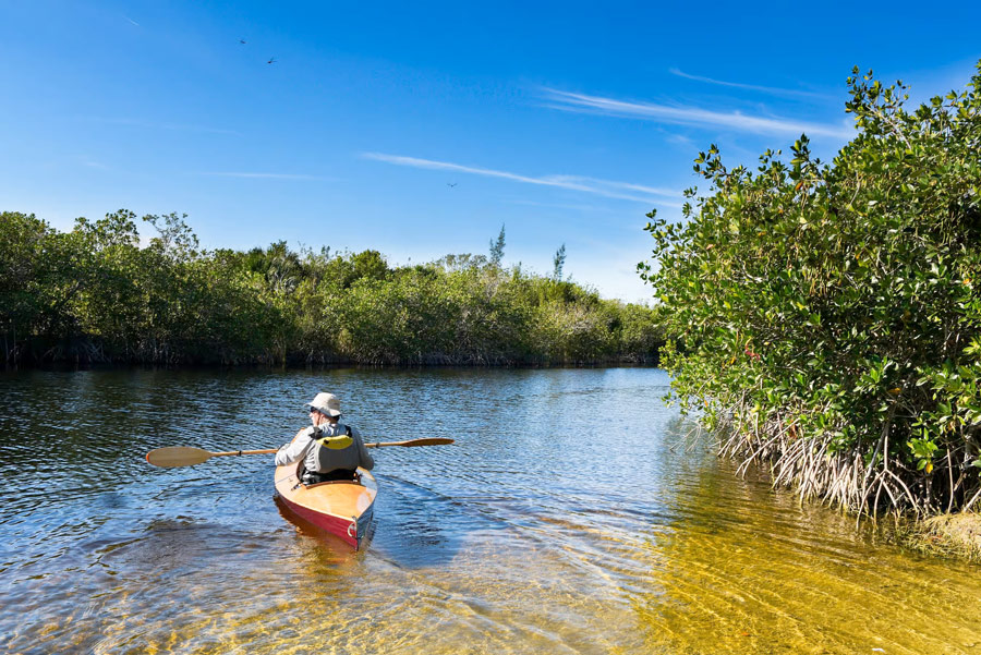 mangroves de Chuyillaqui piura perou