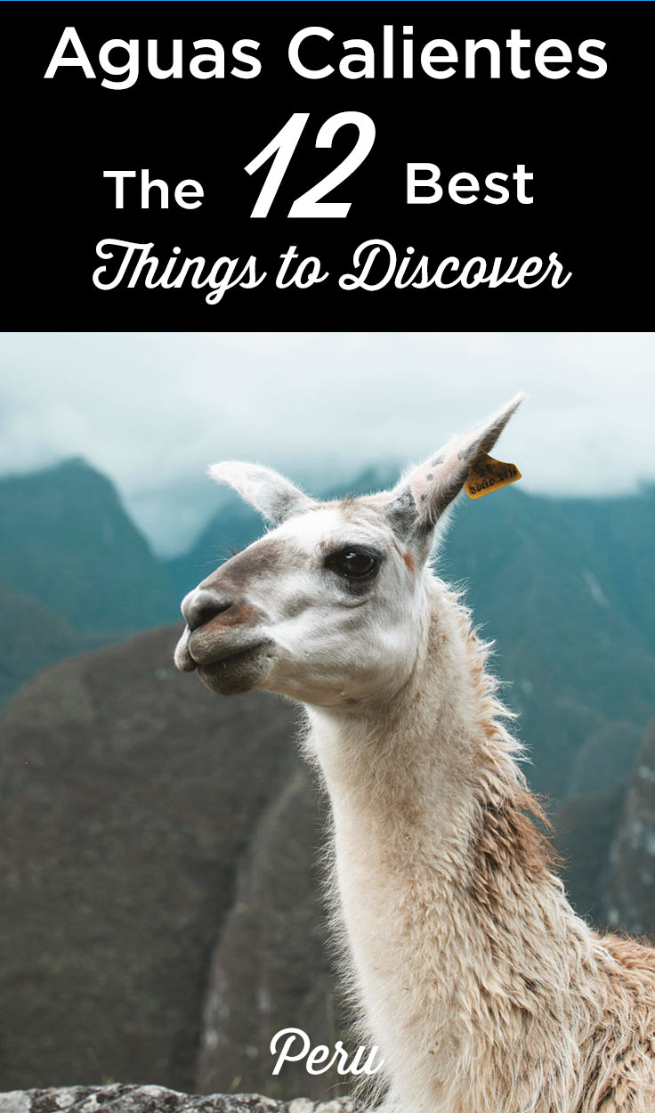 what to do in aguas calientes peru