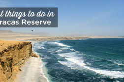 paracas national reserve peru