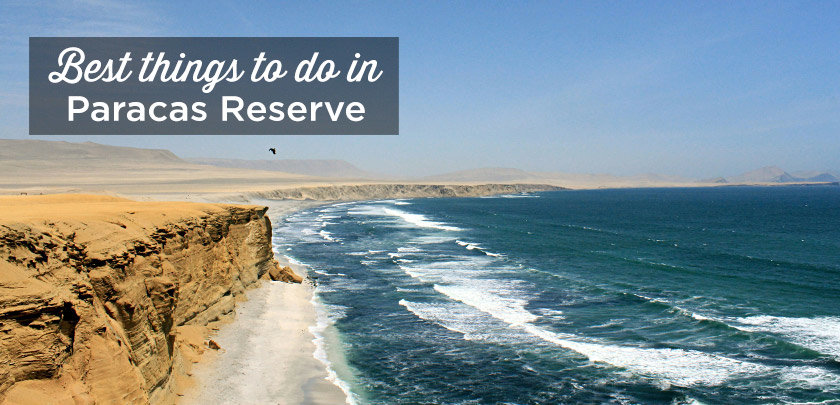 paracas national reserve peru