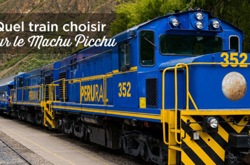 train machu picchu perurail vs inca rail